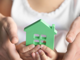 La Lumière à travers les Fenêtres du Temps : Comprendre les Enjeux de l’Adoption Tardive