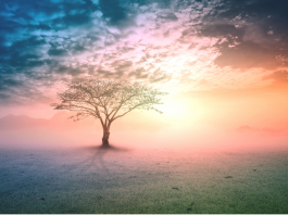 Choisir un Mode de Vie Durable: Un Engagement Écologique et Spirituel