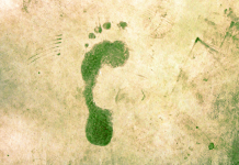 Gestion des Différences de Priorités Environnementales : Un Équilibre Écologique Inspiré par les Valeurs Spirituelles Juives