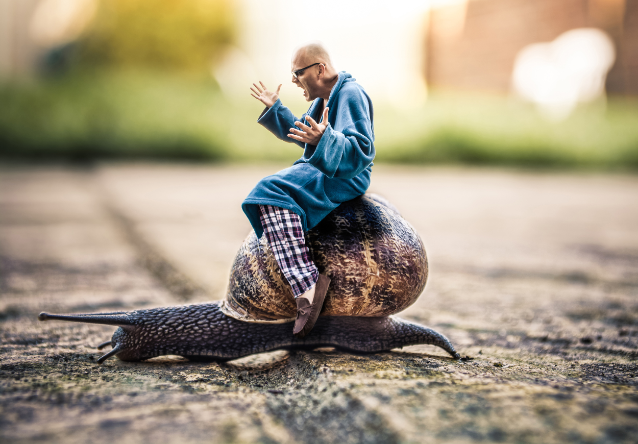 Divergence des Rythmes de Vie : Adapter, Gérer et Connecter