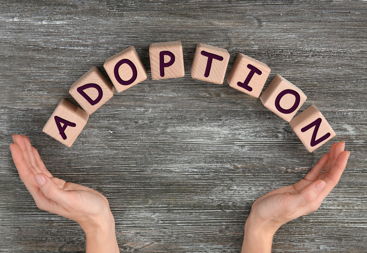 Un Chemin Spirituel et Responsable face à l’adoption