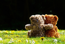 Comment la Communication Peut Transformer les Relations Amicales