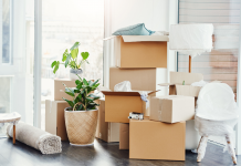 Défis et Décisions : Naviguer les Eaux Troubles du Déménagement pour Raisons Professionnelles