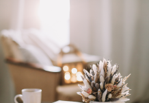 Transformez Votre Vie : Comment Prendre des Décisions de Changement de Style de Vie