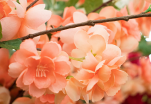 Préserver l’Harmonie Conjugale: Gérer les Influences Externes avec Sagesse