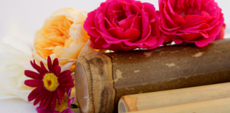 Communication Efficace sur les Choix de Santé et de Bien-être