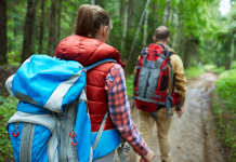 Répondre aux Défis de la Gestion des Attentes de Loisirs