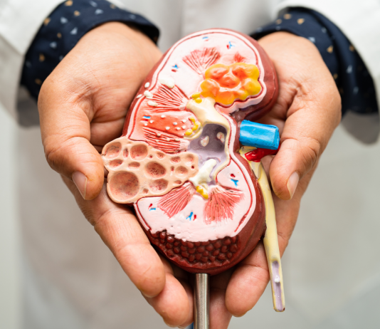 Les Enjeux de la Communication sur les Maladies Chroniques