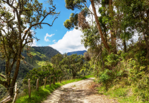 Choisir Entre Déménagement Rural et Urbain : Une Décision Cruciale pour Votre Bien-Être