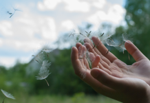 Équilibrer nos vies à l’ère numérique : Les enjeux de la divergence des habitudes de consommation médiatique