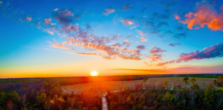 Les Enjeux des Activités de Détente Divergentes