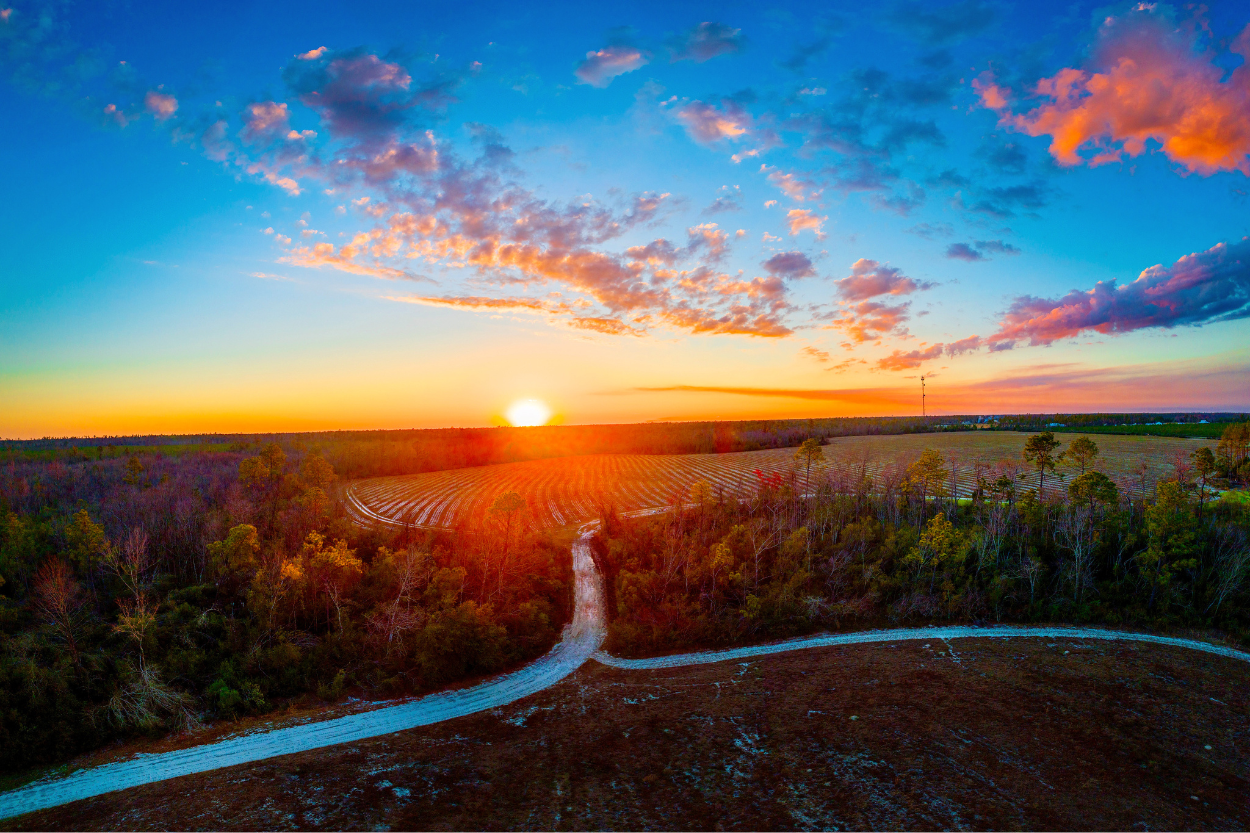 Les Enjeux des Activités de Détente Divergentes