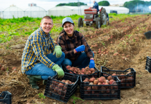 Harmoniser les Intérêts Professionnels Divergents dans le Couple : Un Défi Inspirant