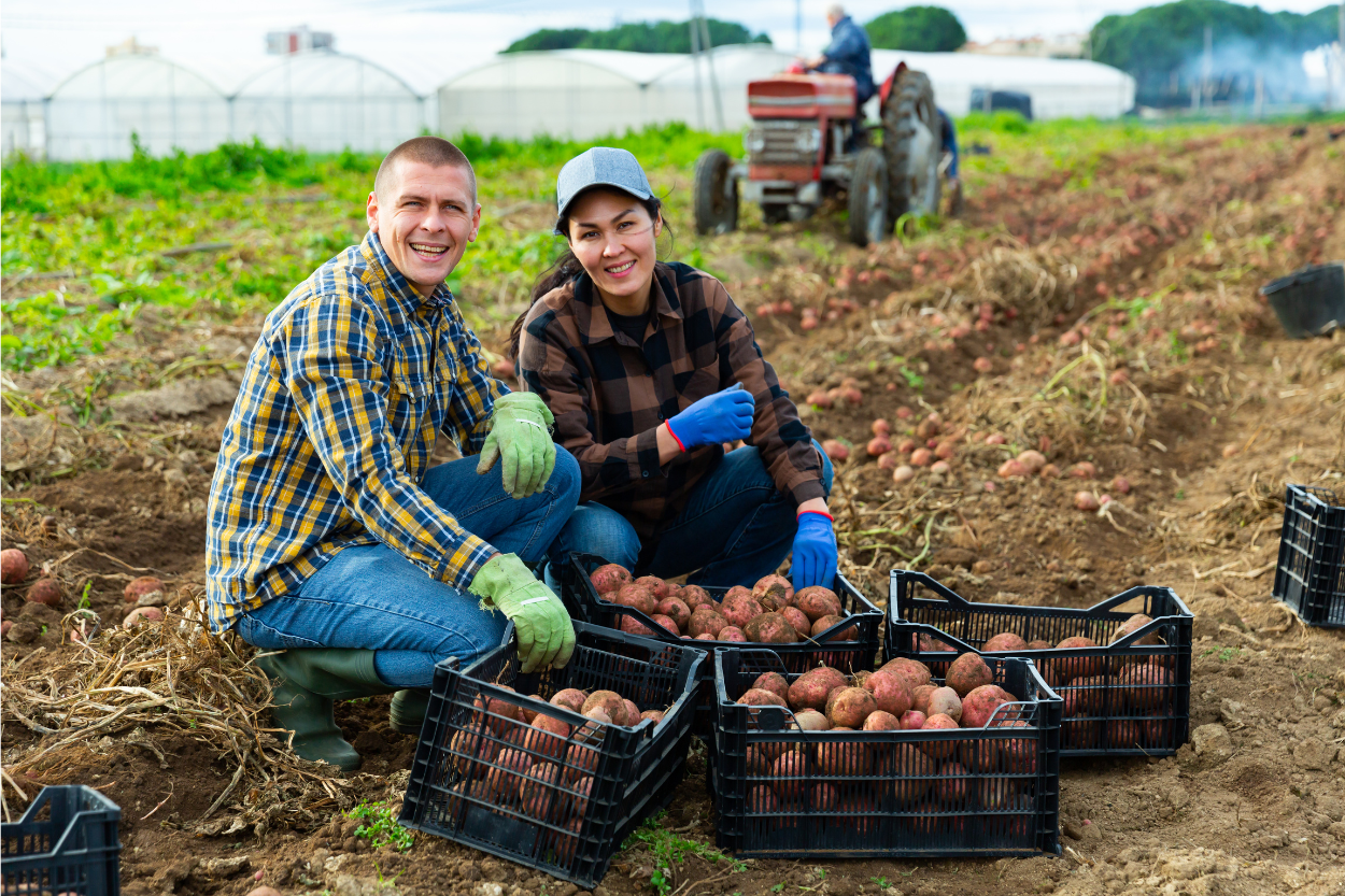 Harmoniser les Intérêts Professionnels Divergents dans le Couple : Un Défi Inspirant