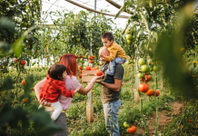 Gérer les Traditions Familiales Diverses : Défis et Solutions