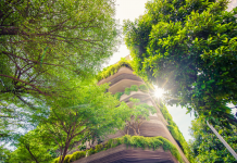 Construire un Avenir Sain : La Communication sur les Décisions de Santé à Long Terme