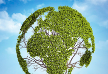 Choix de Vie Écologiques : Un Chemin Vers un Futur Durable