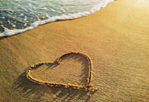 Harmoniser l’Engagement Social dans le Couple: Une Approche Inspirée par les Valeurs Juives