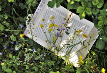 Les Enjeux de la Divergence des Habitudes de Lecture