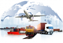 Choix de Transport : Préférences, Planification et Durabilité