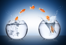 Surmonter les Défis des Attitudes Divergentes envers le Changement