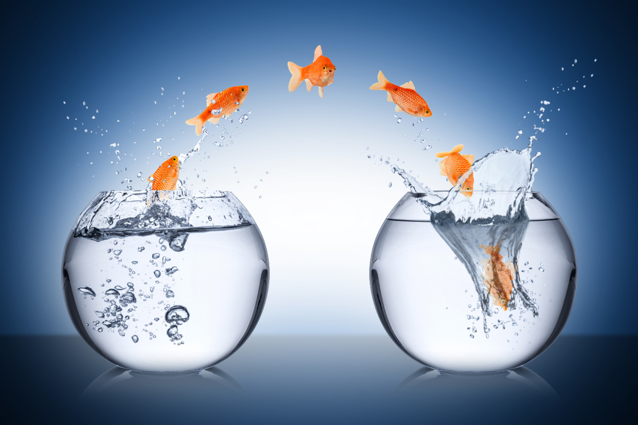 Surmonter les Défis des Attitudes Divergentes envers le Changement