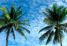 Les Défis des Préférences de Climat pour le Lieu de Vie