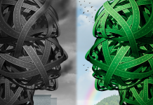 Choix Écologiques : Les Enjeux des Décisions de Vie Durable