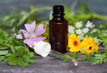 Explorer les Choix de Santé Alternative: Un Voyage de Découverte et de Soutien