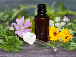 Explorer les Choix de Santé Alternative: Un Voyage de Découverte et de Soutien