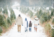 Les Défis des Attitudes Divergentes envers les Traditions Familiales