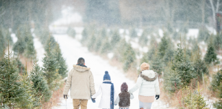 Les Défis des Attitudes Divergentes envers les Traditions Familiales