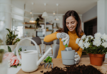Les enjeux de la gestion des hobbies différents
