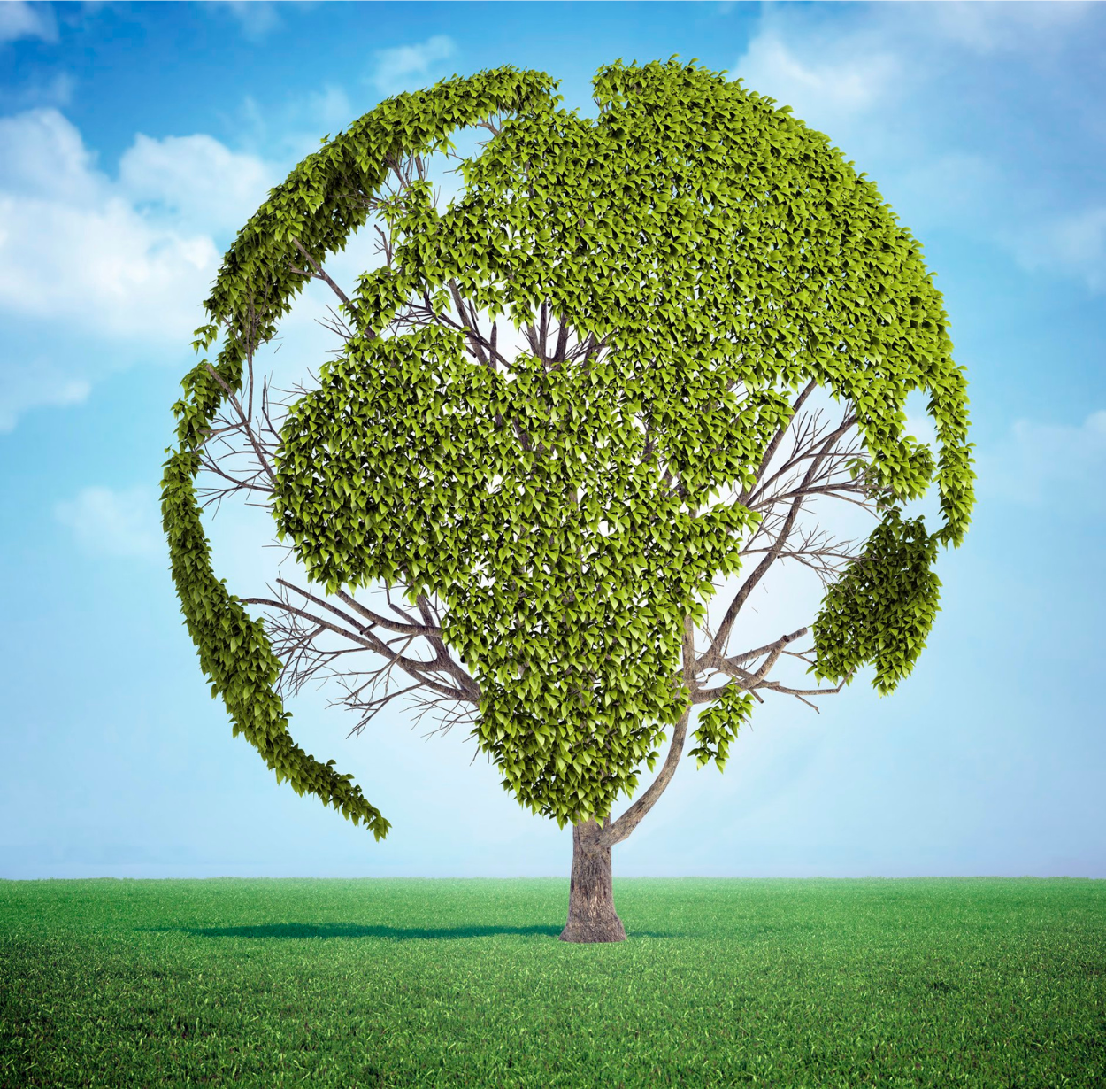 Adopter des Pratiques Écologiques