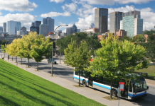 Choix de Vie sans Voiture : Avantages, Alternatives et Soutien Mutuel