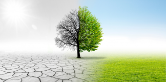 Préférences Climatiques et Lieu de Vie