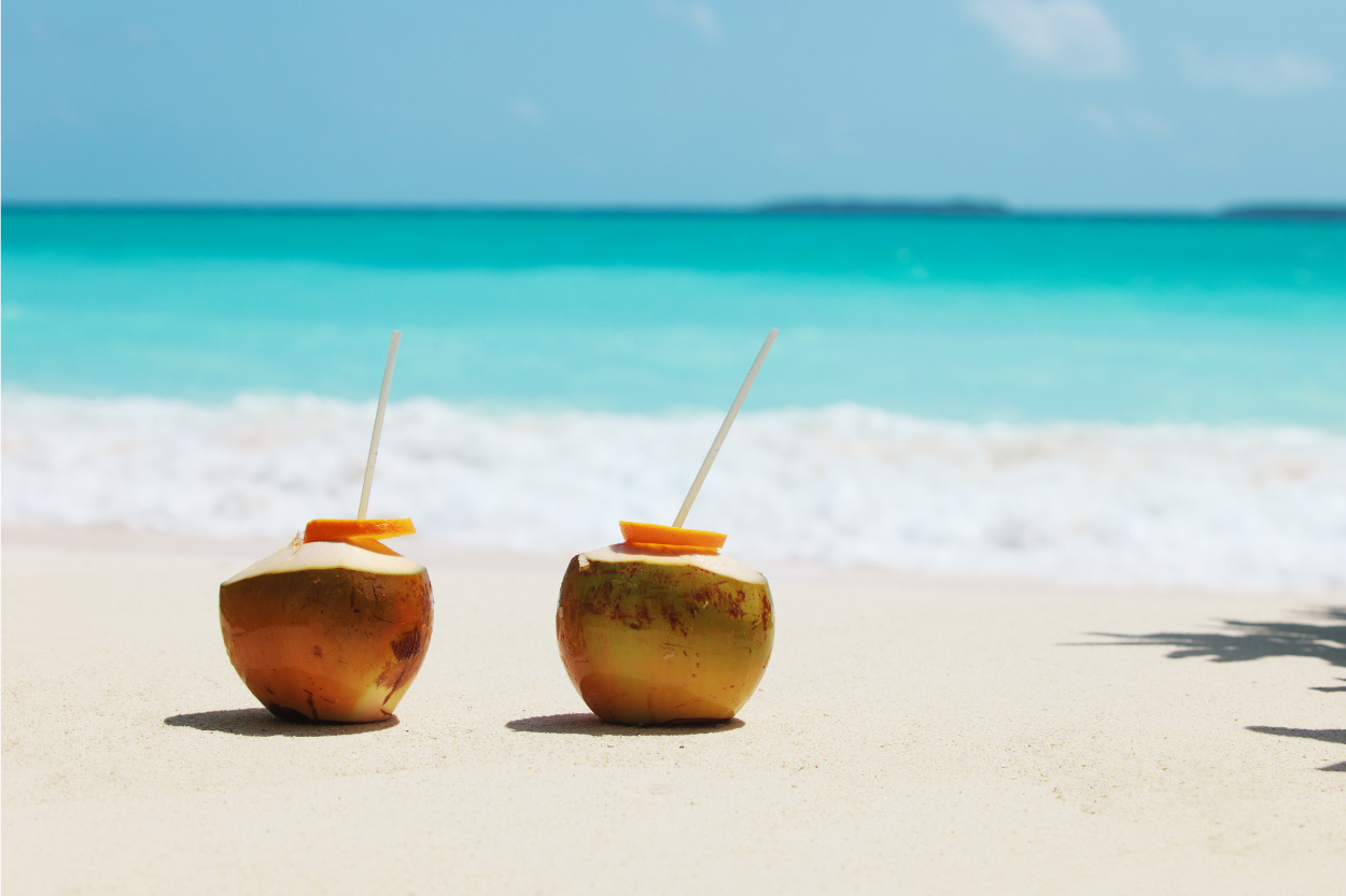 Choix des vacances: entre Montagne et Plage