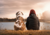 Choisir des Soins pour Animaux Domestiques