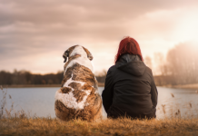 Choisir des Soins pour Animaux Domestiques