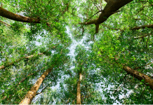 Renouer avec la nature pour nourrir son âme