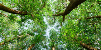 Renouer avec la nature pour nourrir son âme