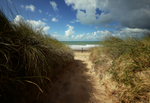 L’art-thérapie : Un chemin vers la guérison des addictions