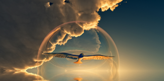 L’Importance de l’Esprit d’Aventure