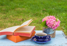 La gestion des attentes de loisirs