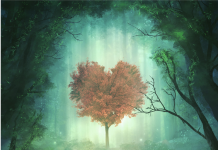 Gérer les Évolutions Spirituelles