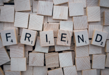 Gestion harmonieuse des relations amicales et individuelles