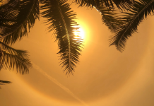 Les défis des divergences dans les préférences de modes de voyage