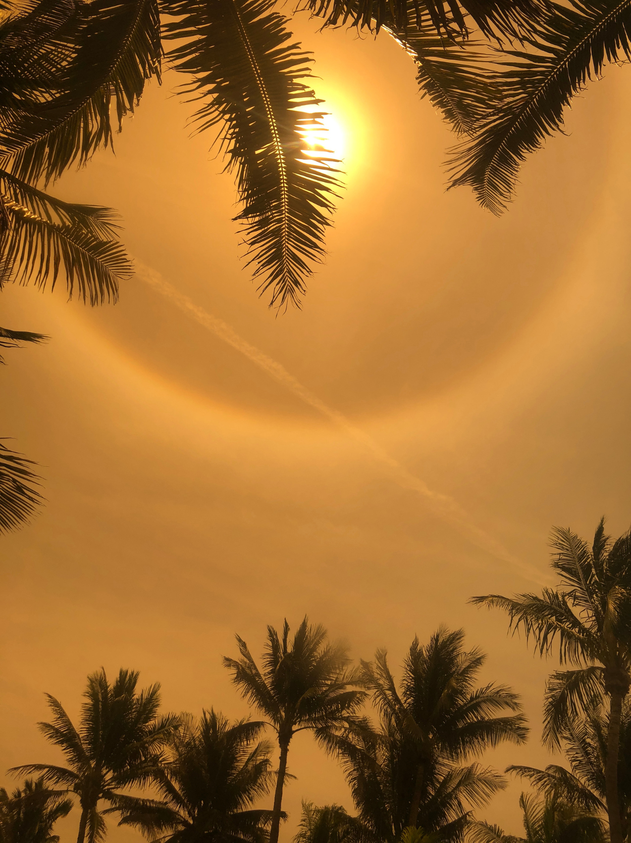 Les défis des divergences dans les préférences de modes de voyage