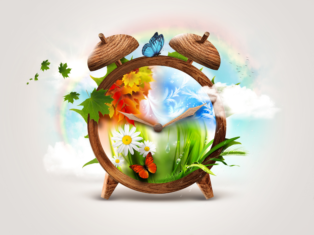 Harmoniser la Maison avec des Décorations Saisonnières : Une Approche Spirituelle