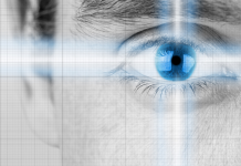 Développement de l’identité